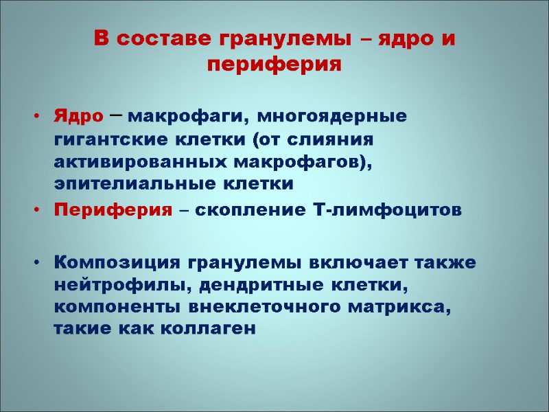 В составе гранулемы – ядро и периферия Ядро – макрофаги, многоядерные гигантские клетки (от